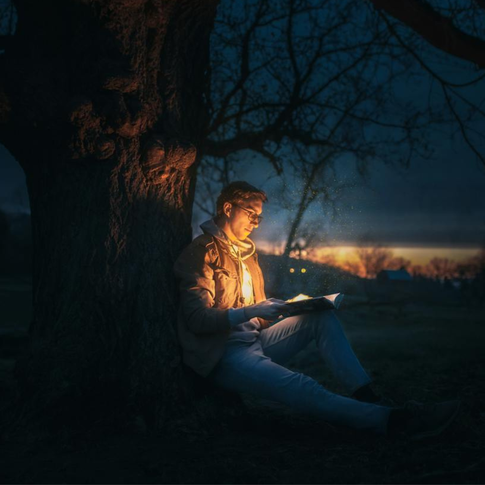 illustration contes et fables pour adulte icone