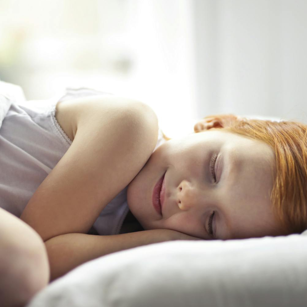 illustration parent dinosaure lit un livre a bébé dinosaure