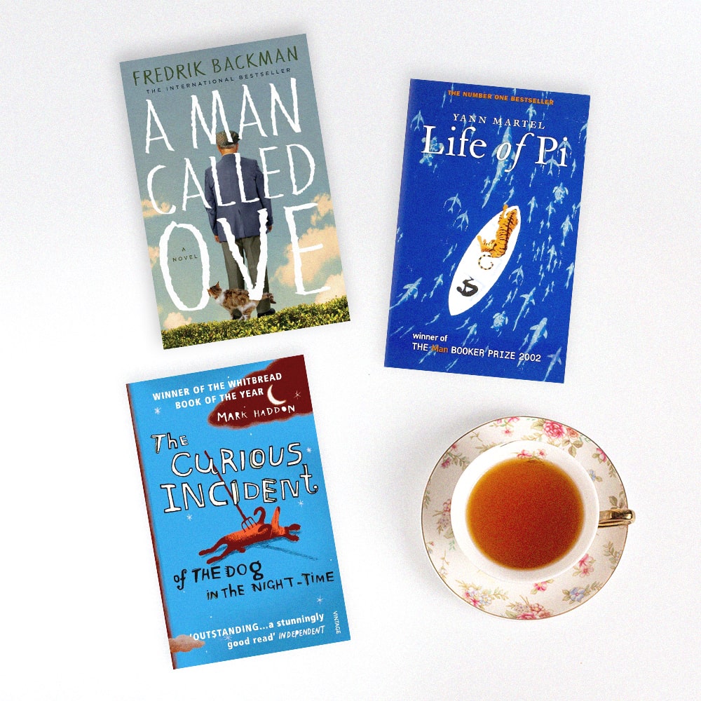 livres en anglais pour débutants