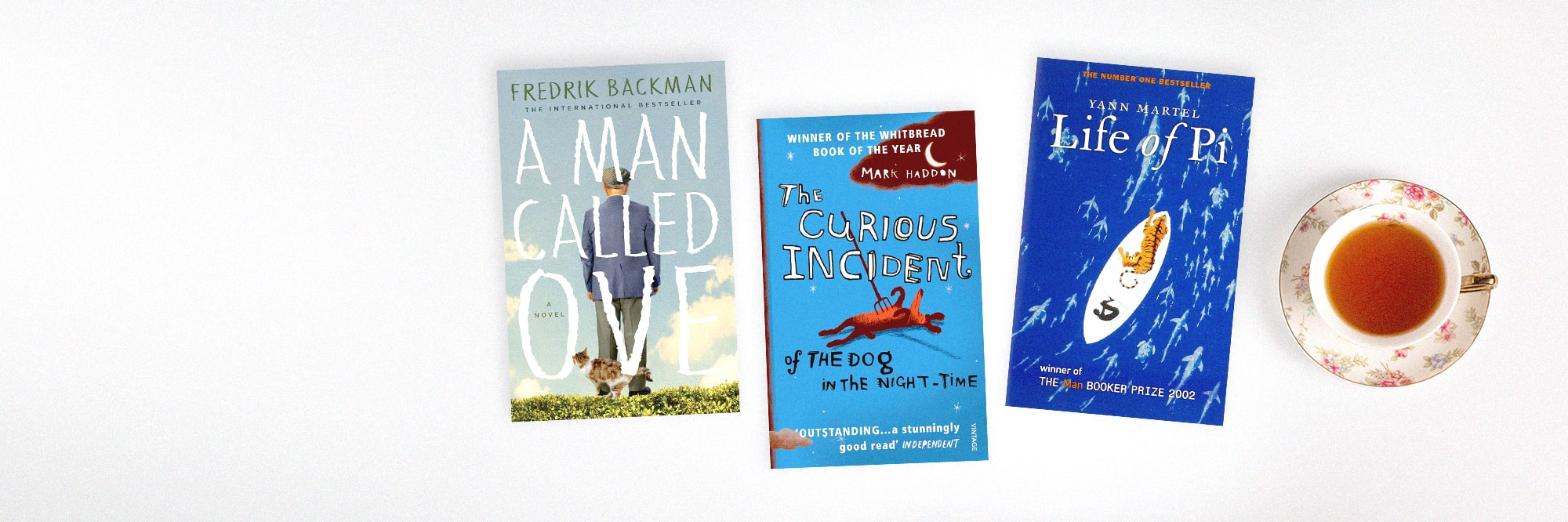 livres en anglais pour débutants