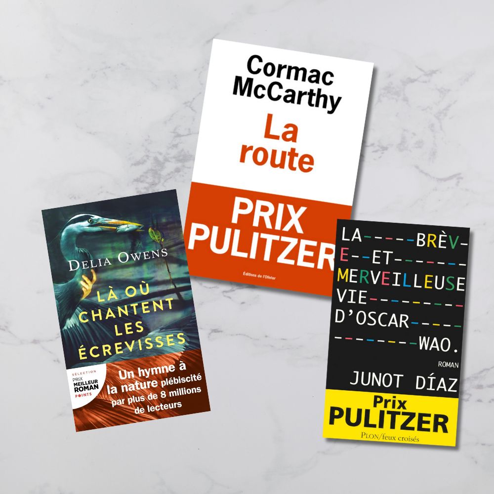 meileurs romans américains contemporains