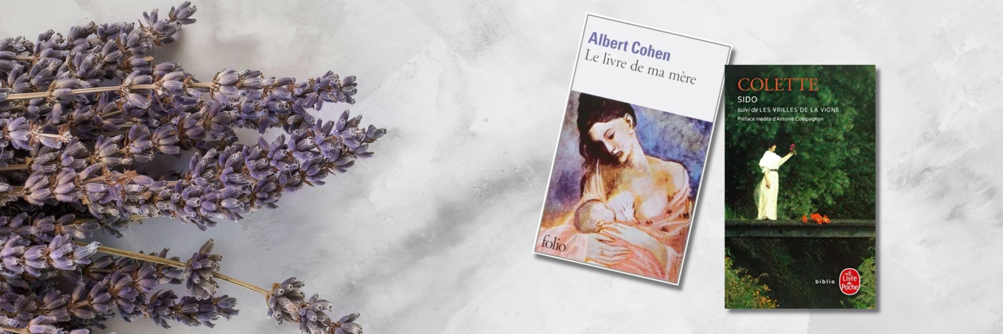 livre sur les mamans des écrivains