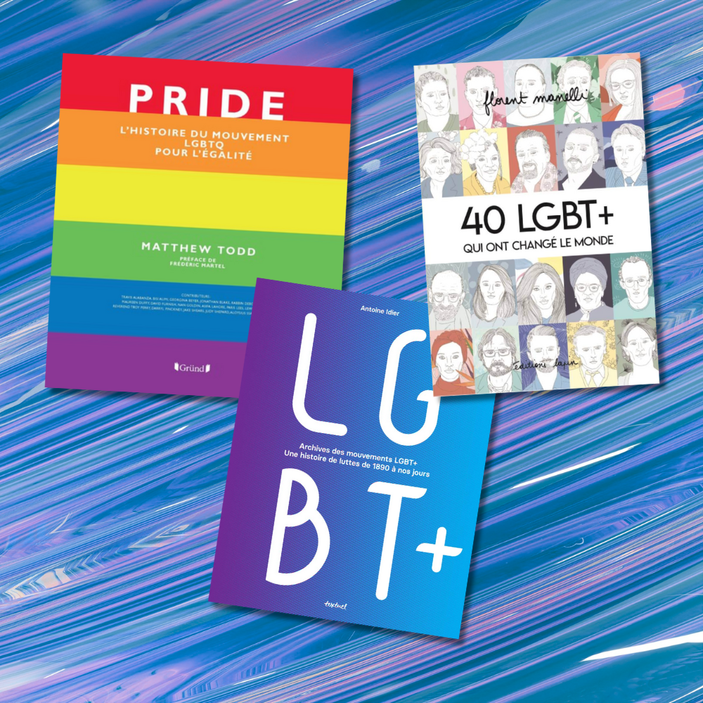 intro livre sur l'histoire des lgbt