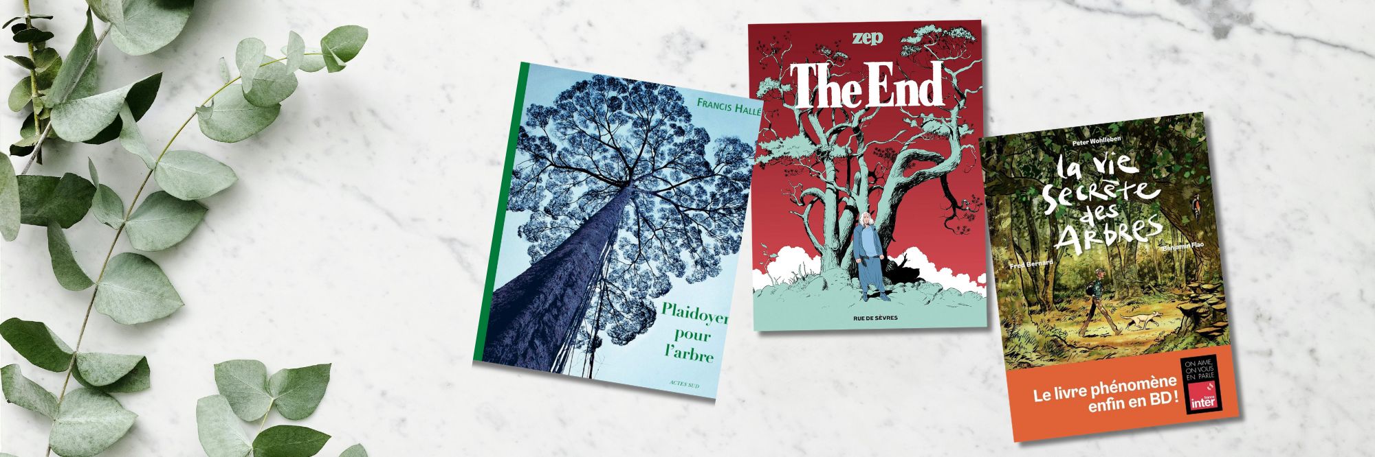 livres sur les arbres la vie secrete des arbres the end plaidoyer pour l'arbre