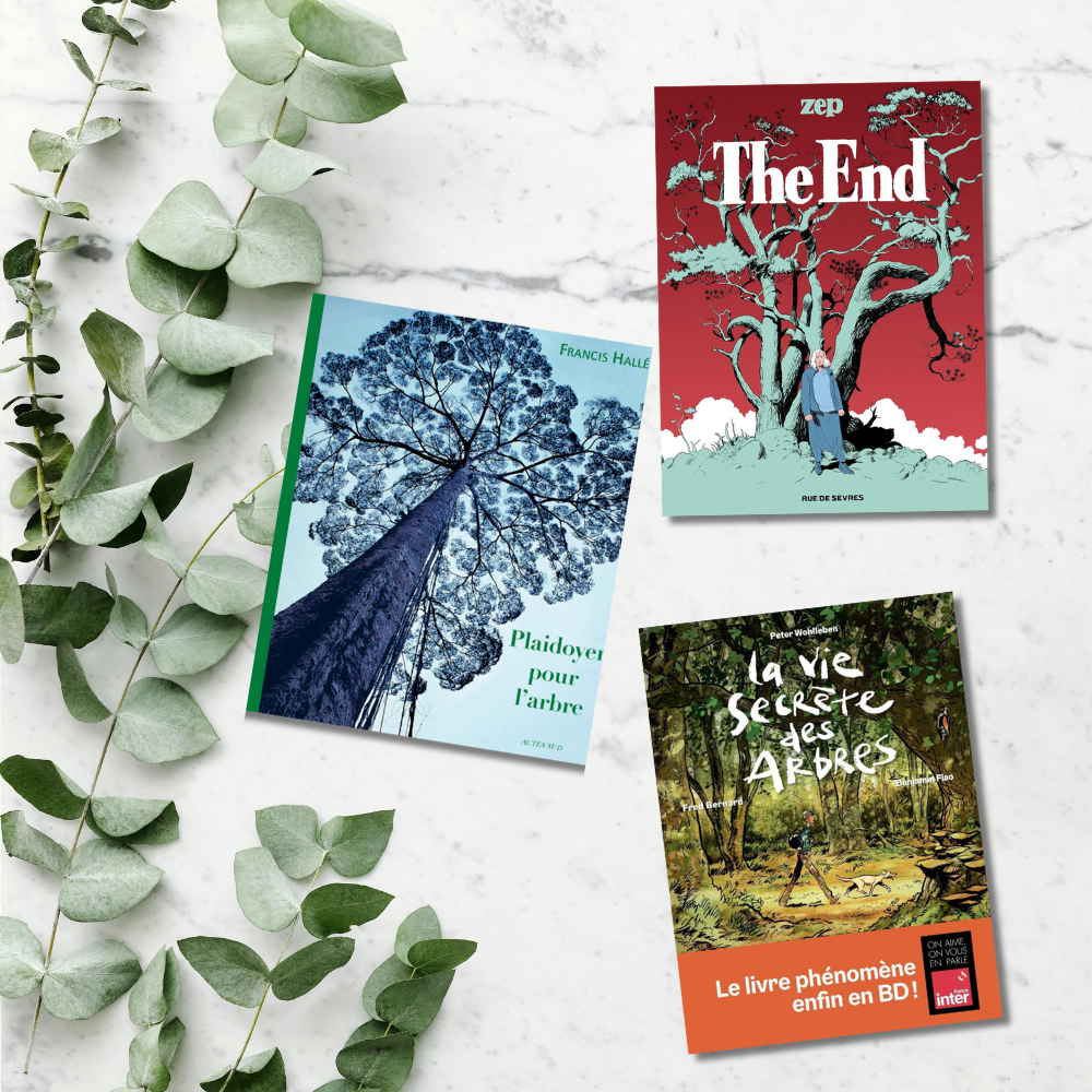 livres sur les arbres la vie secrete des arbres the end plaidoyer pour l'arbre