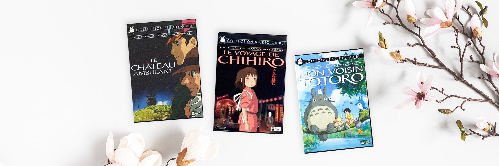 meilleurs films de miyazaki