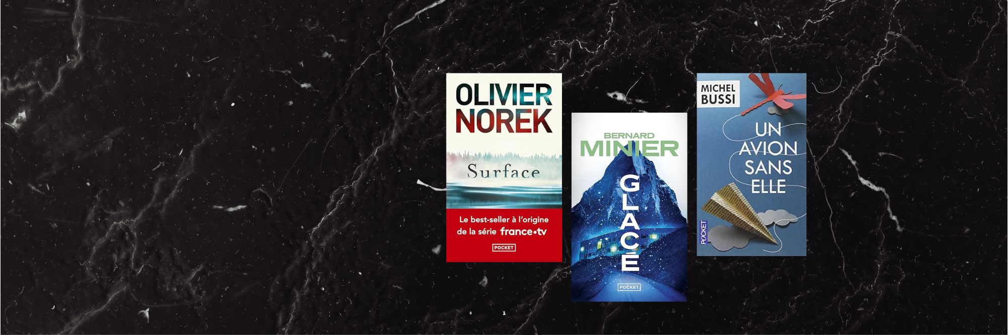 meilleurs romans policiers français