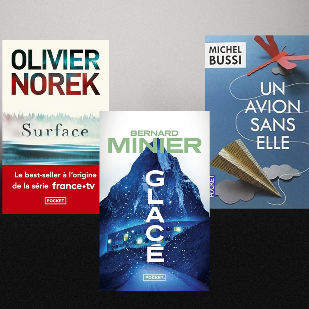 meilleurs romans policiers français