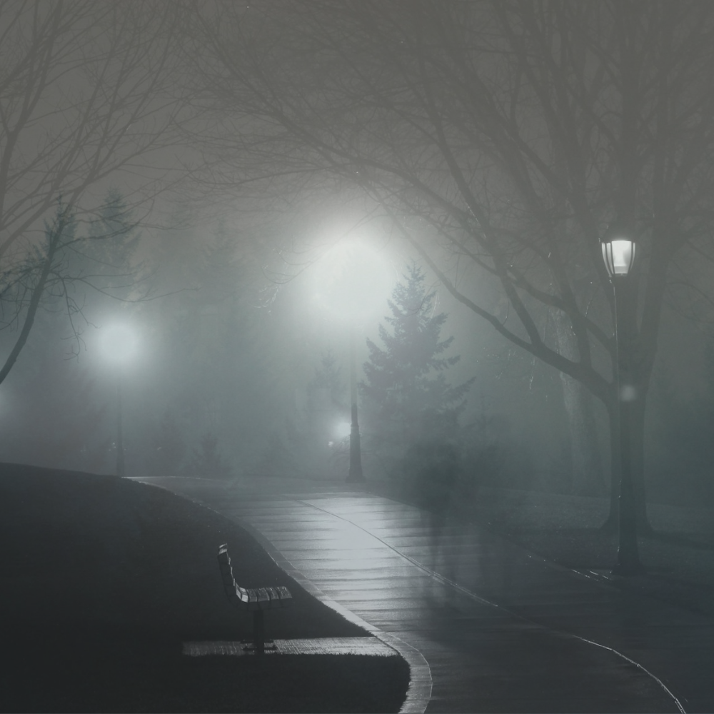 illustration livres thriller momox 